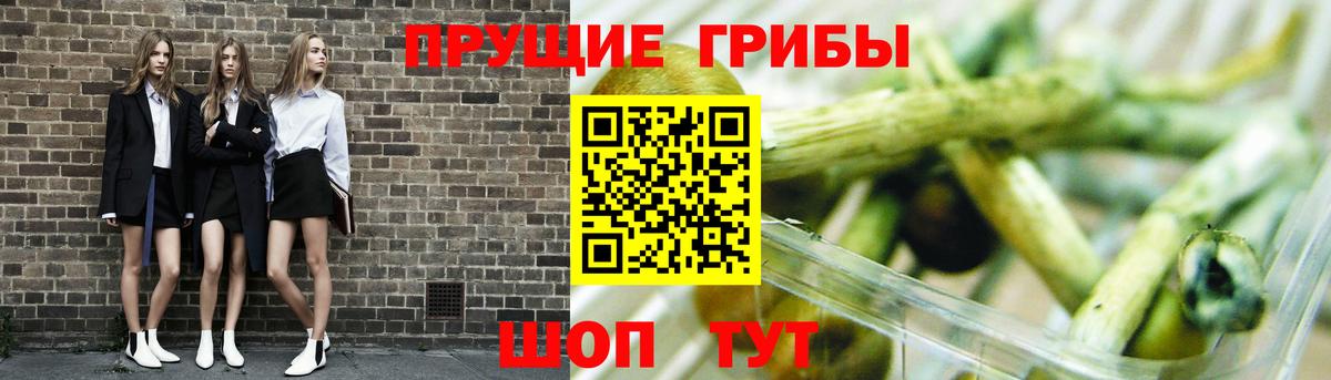 Псилоцибиновые грибы Magic Shrooms  цена   Галлюциногенные грибы мухоморы  Кировск  Вход с VPN 